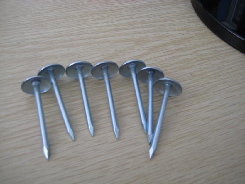 Roofing Nails 001.jpg Roofing Nails 001.jpg