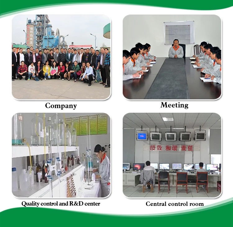 Wholesale SDH brand high whiteness white portland cement 52.5 price