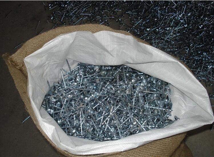 Roofing Nails 013.jpg Roofing Nails 013.jpg
