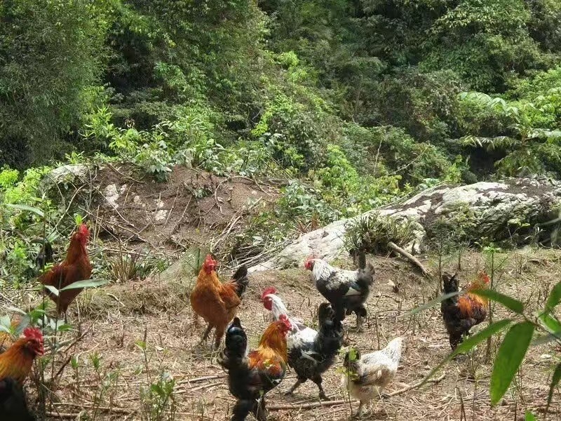 微信图片_2020111318291231.jpg