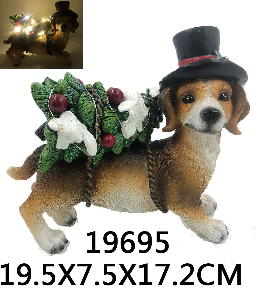 SY19695.jpg SY19695.jpg