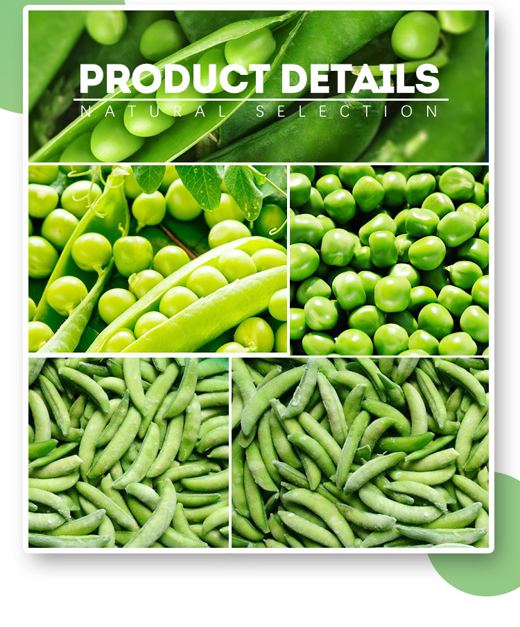_02.jpg