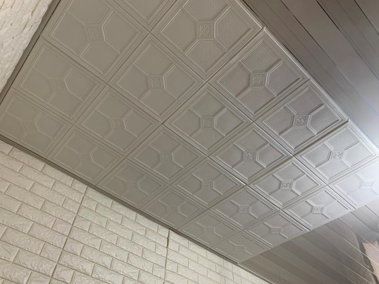 750 ceiling panel.jpg