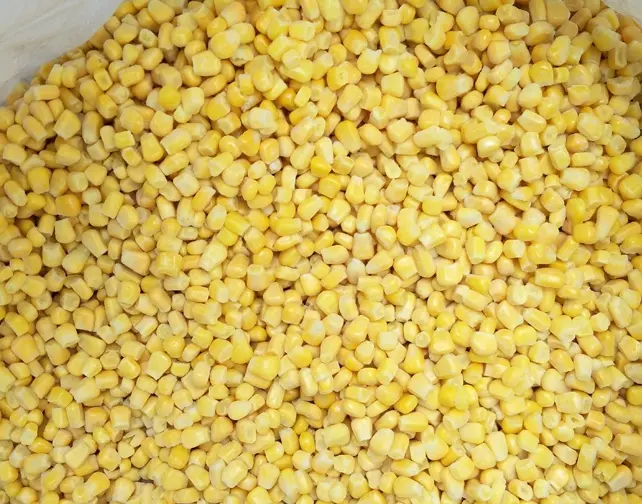 IQF Frozen yellow maize