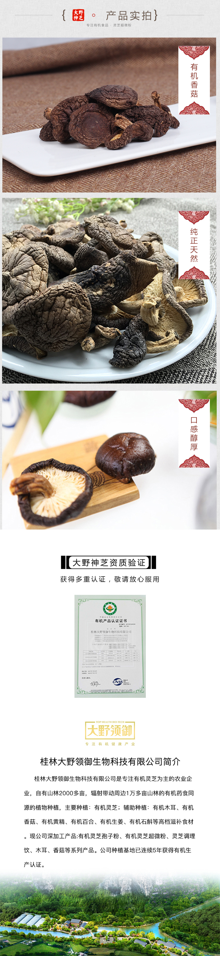 大野香菇_04.jpg
