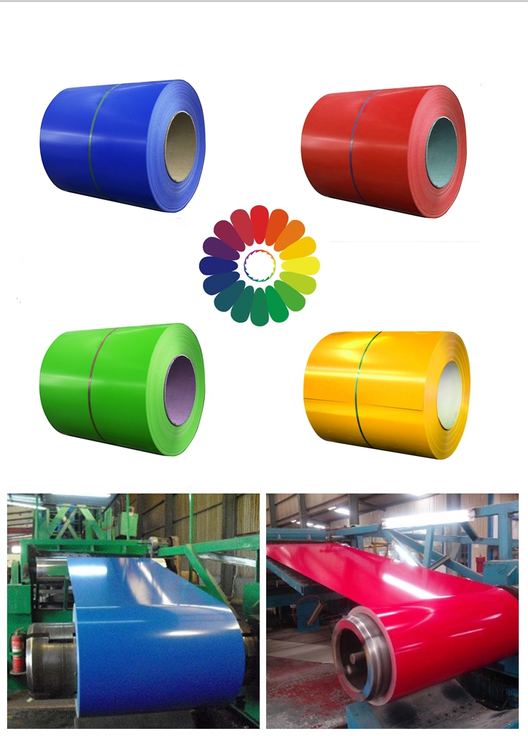 Excellent quality prepainted galvanized steel coil ppgi