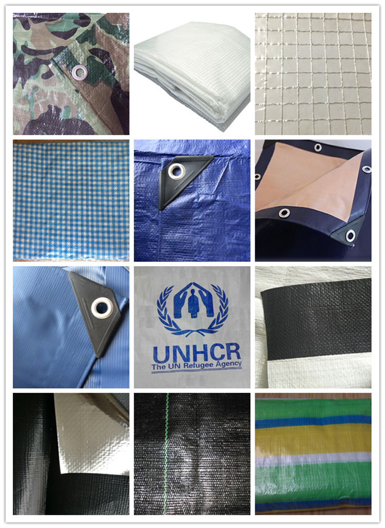 Tarp-6.jpg