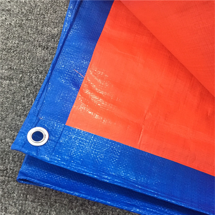 Orange Blue Tarp.jpg