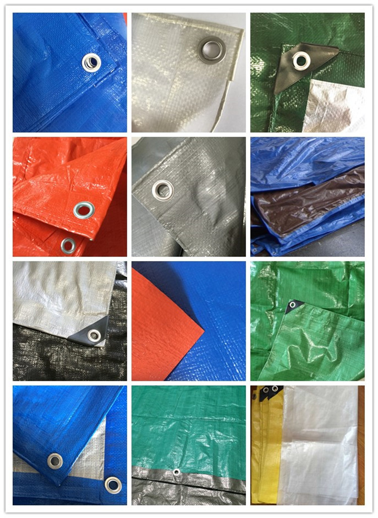 PE Tarpaulin.jpg