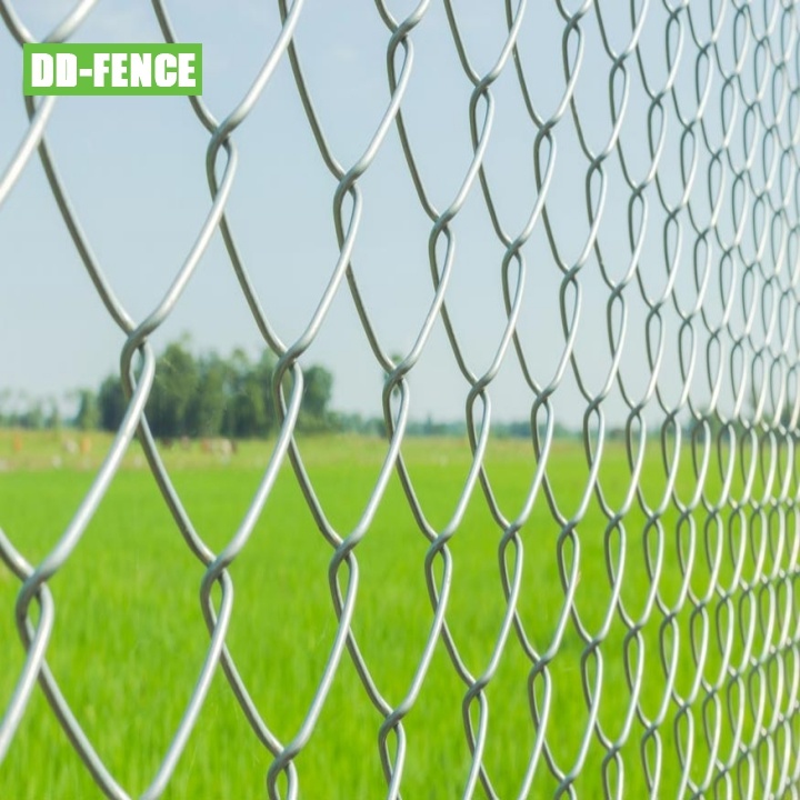 HEBEI-DOUDOU-METAL-FENCE-PRODUCTS-CO-LTD-AEV517J3.jpg