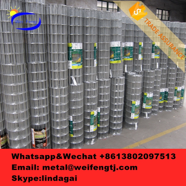 welding wire mesh (24).jpg welding wire mesh (24).jpg