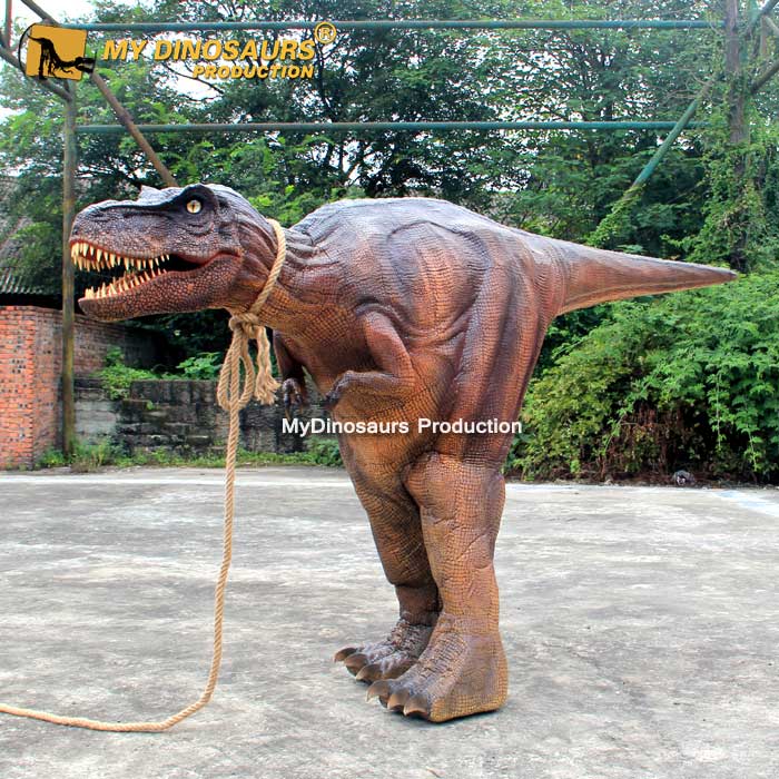 T-rex-costume.jpg