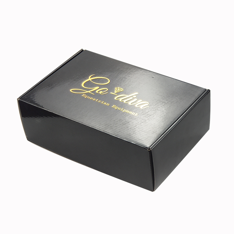 black box 5.jpg