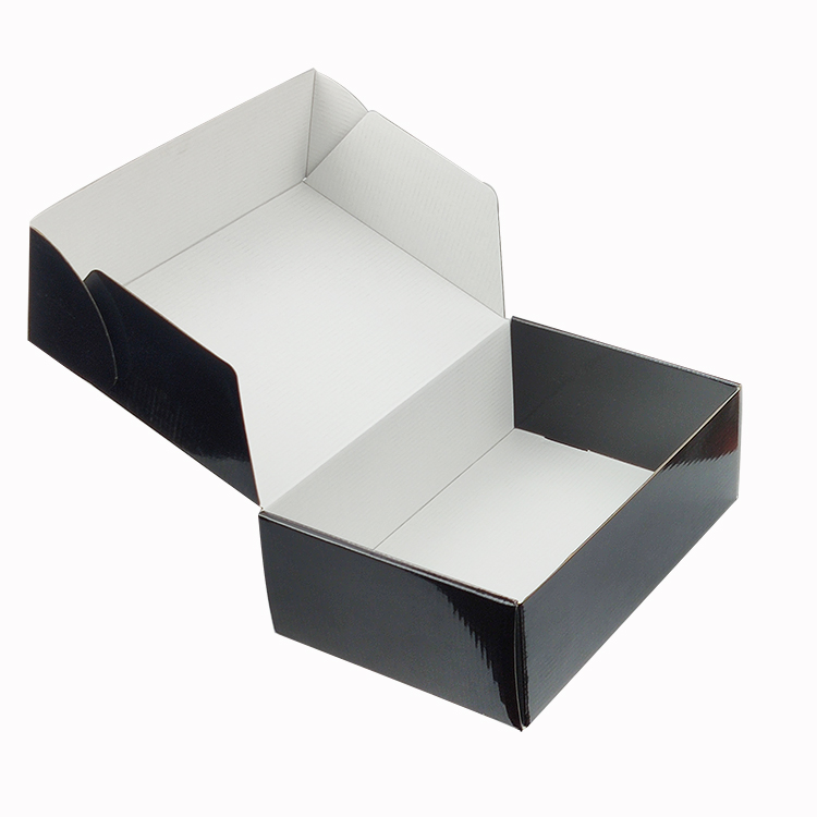 black box 4.jpg