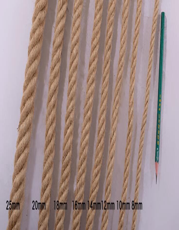 628.jpg