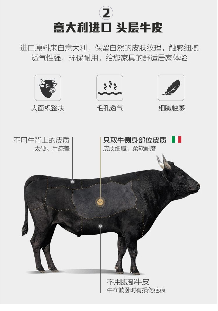 大白菜_14.jpg