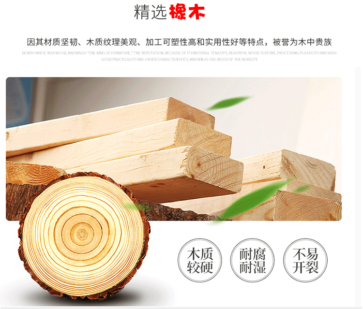大白菜_13.jpg