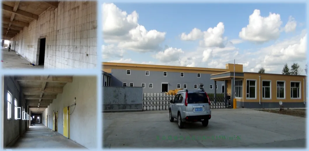 EPS Cavity Module for Civil Building Thermal Insulation Earthquake Resistance