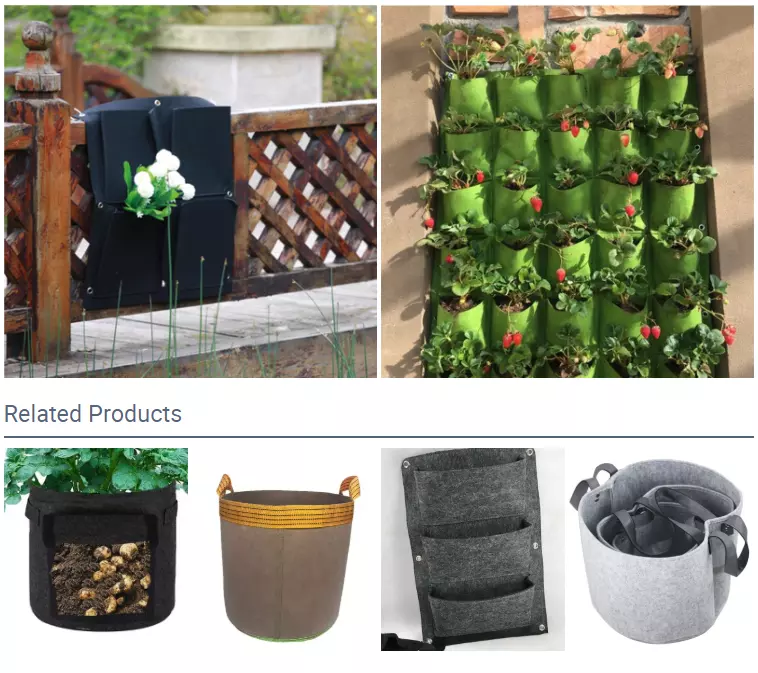 7 36 49 pockets vertical wall hanging garden plant bag felt planter grow bag for Flower Vegetable