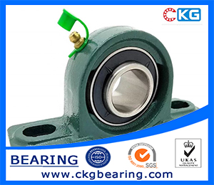 CKG UCP 3.jpg CKG UCP 3.jpg