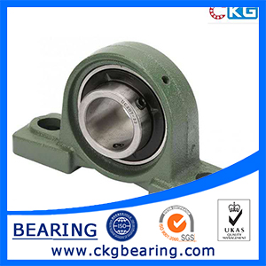 CKG UCP2-11.jpg CKG UCP2-11.jpg