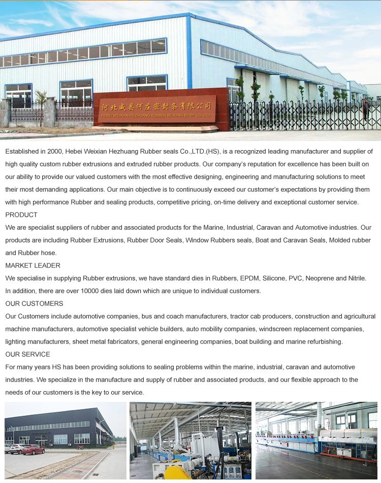 co-extrusion pvc and rubbercontainer sealing strip for doors edges