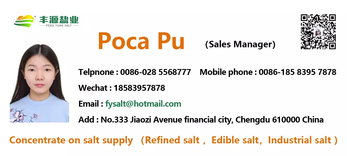 Factory Price Industrial Salt/ Sodium Chloride Industrial Grade /Industrial Vacuum Salt NaCl 99.6%