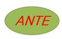 Xingtai Ante Import and Export Trade Co., Ltd. Xingtai Ante Import and Export Trade Co., Ltd.