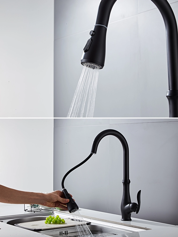 New Design Pull out Shower Head Black Grifo Plastico Kitchen Faucet