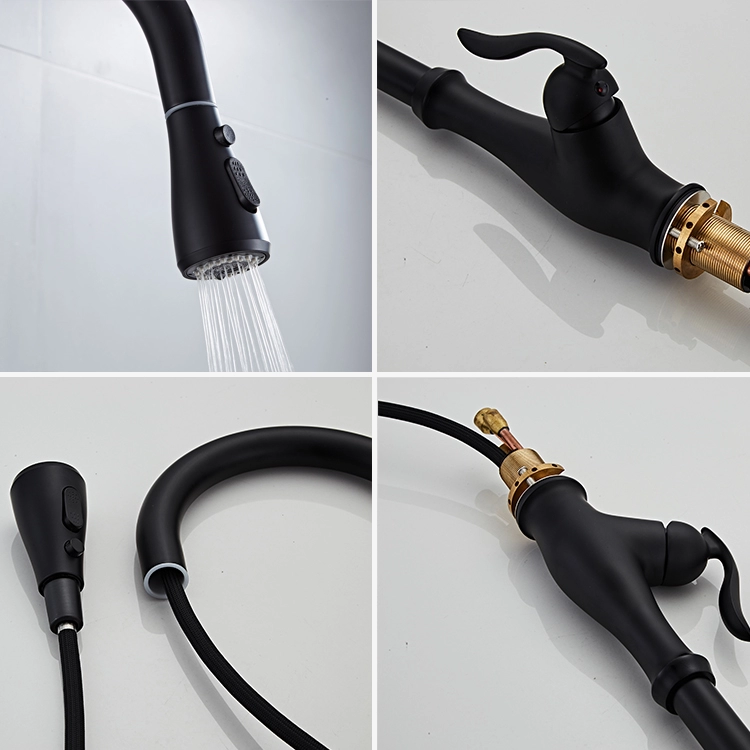 New Design Pull out Shower Head Black Grifo Plastico Kitchen Faucet