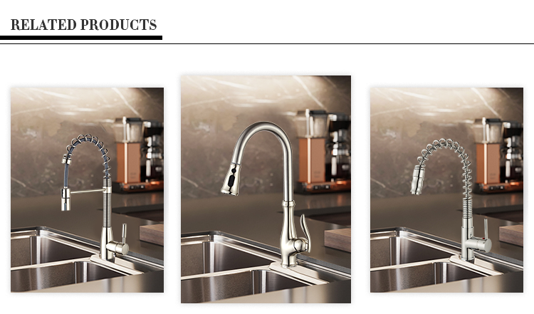 New Design Pull out Shower Head Black Grifo Plastico Kitchen Faucet