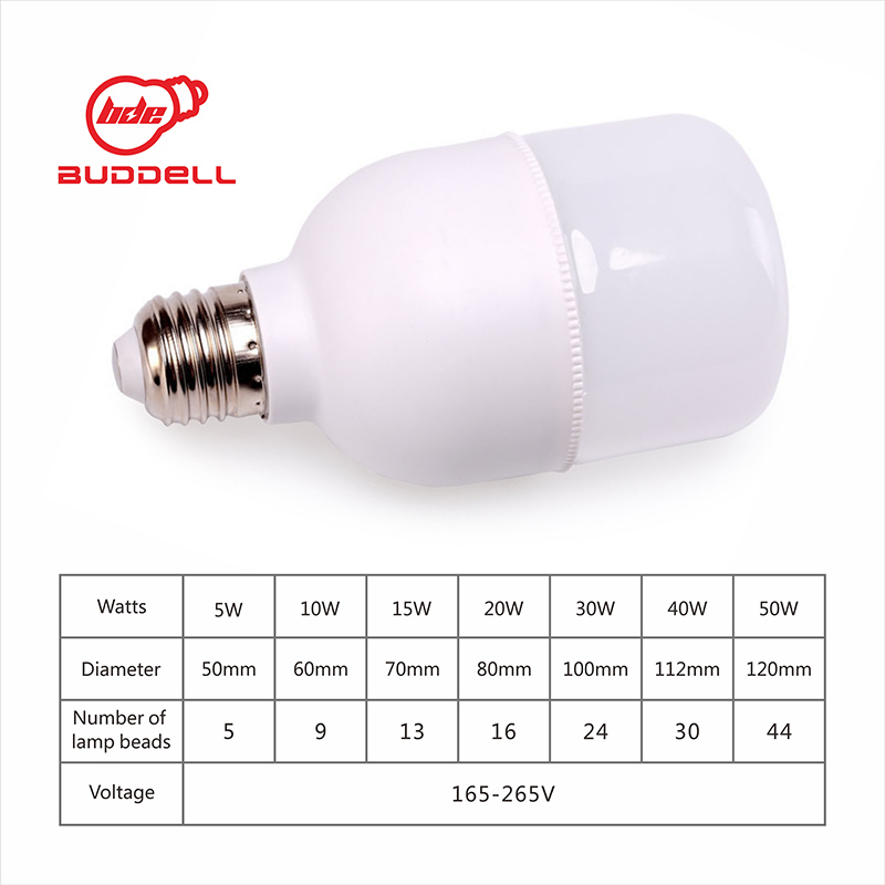 Led bulbs 1-1-800.jpg