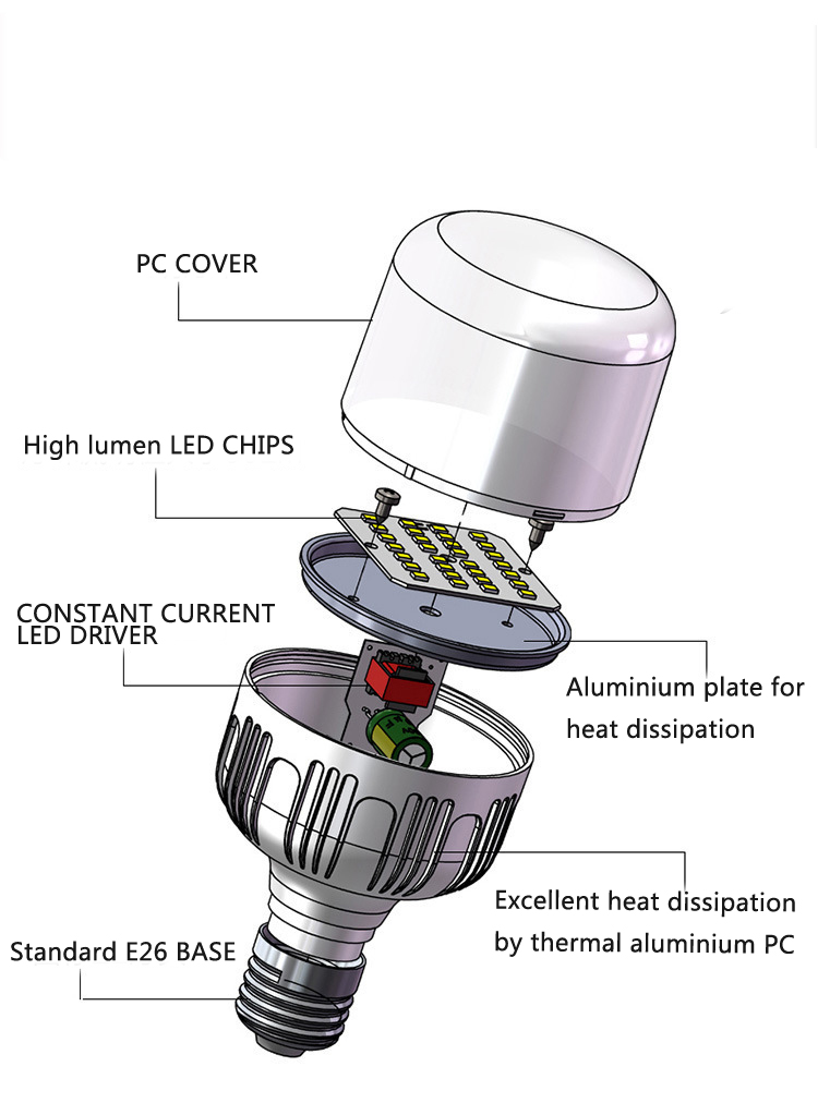 BULB CONSTRUCTION.jpg BULB CONSTRUCTION.jpg