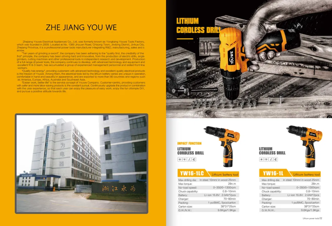 Lithium 21V Professional Powerful Hammer Drill with 2 Battery