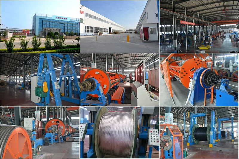Aluminium Conductor Steel Wire Reniforced ACSR Conductor