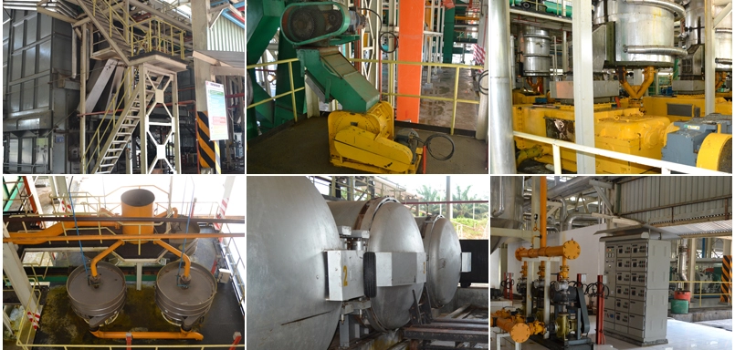 Gold Supplier Palm Harvester Oil Extraction Machinery/Vegetable Oil Machinery Prices