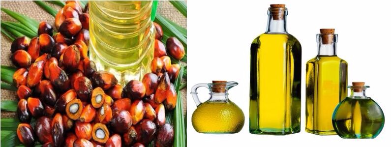 Gold Supplier Palm Harvester Oil Extraction Machinery/Vegetable Oil Machinery Prices