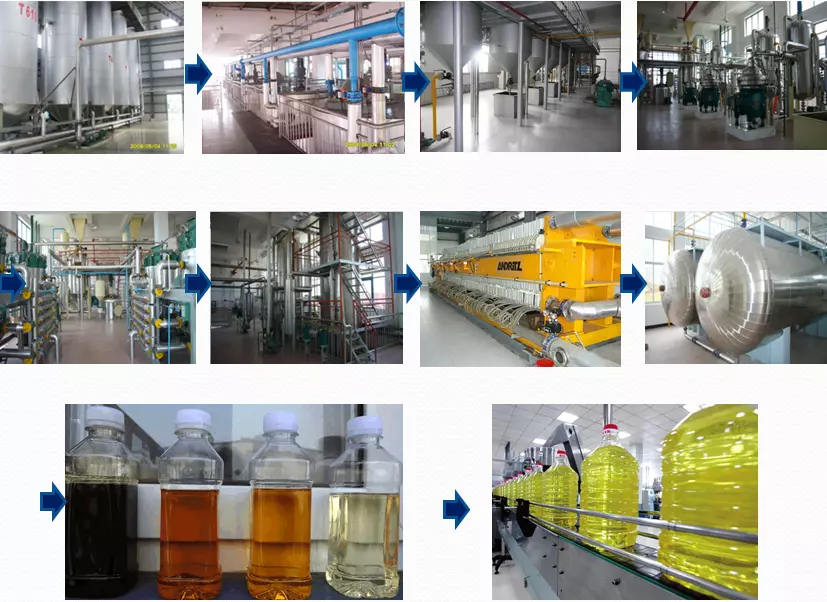 Gold Supplier Palm Harvester Oil Extraction Machinery/Vegetable Oil Machinery Prices