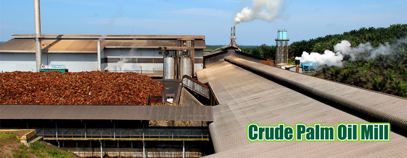 Gold Supplier Palm Harvester Oil Extraction Machinery/Vegetable Oil Machinery Prices