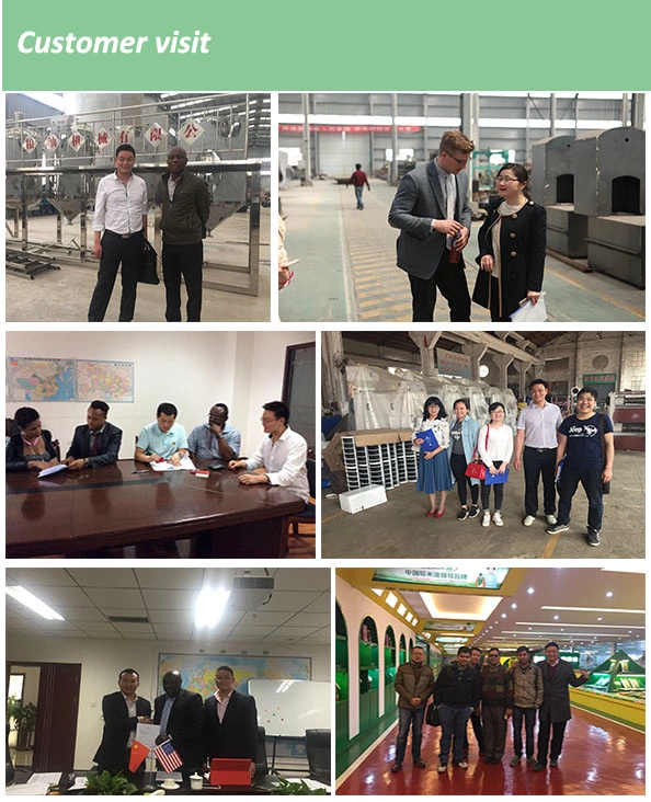 large scale sunflower oil production plant sunflower oil making machine sunflower oil ukraine price