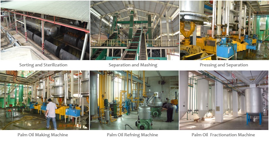 Gold Supplier Palm Harvester Oil Extraction Machinery/Vegetable Oil Machinery Prices