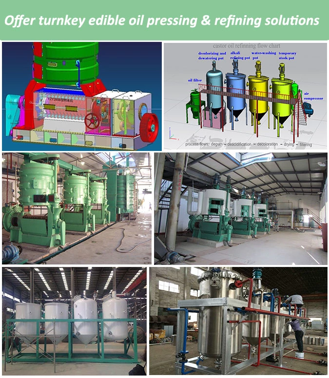 Mini Rice Bran Oil Mill Plant rice bran oil processing plant rice bran oil making machine