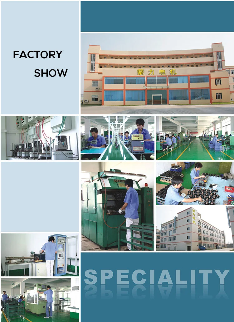 China Manufactory AC Electric Motor for Vacuum Cleaner (ML-B7)