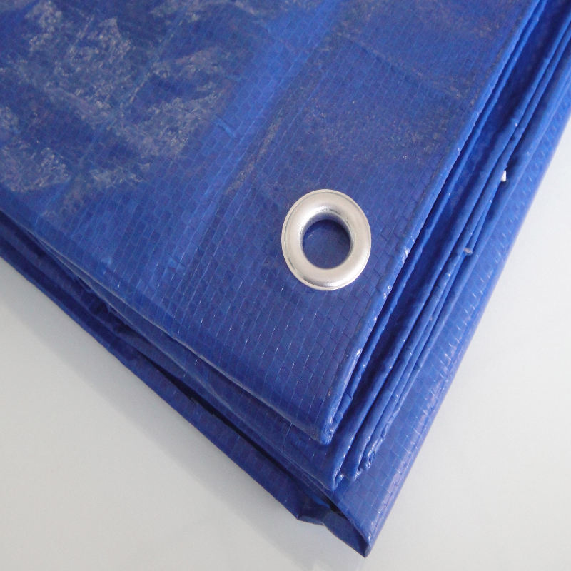 Blue Tarp_副本.jpg Blue Tarp_副本.jpg