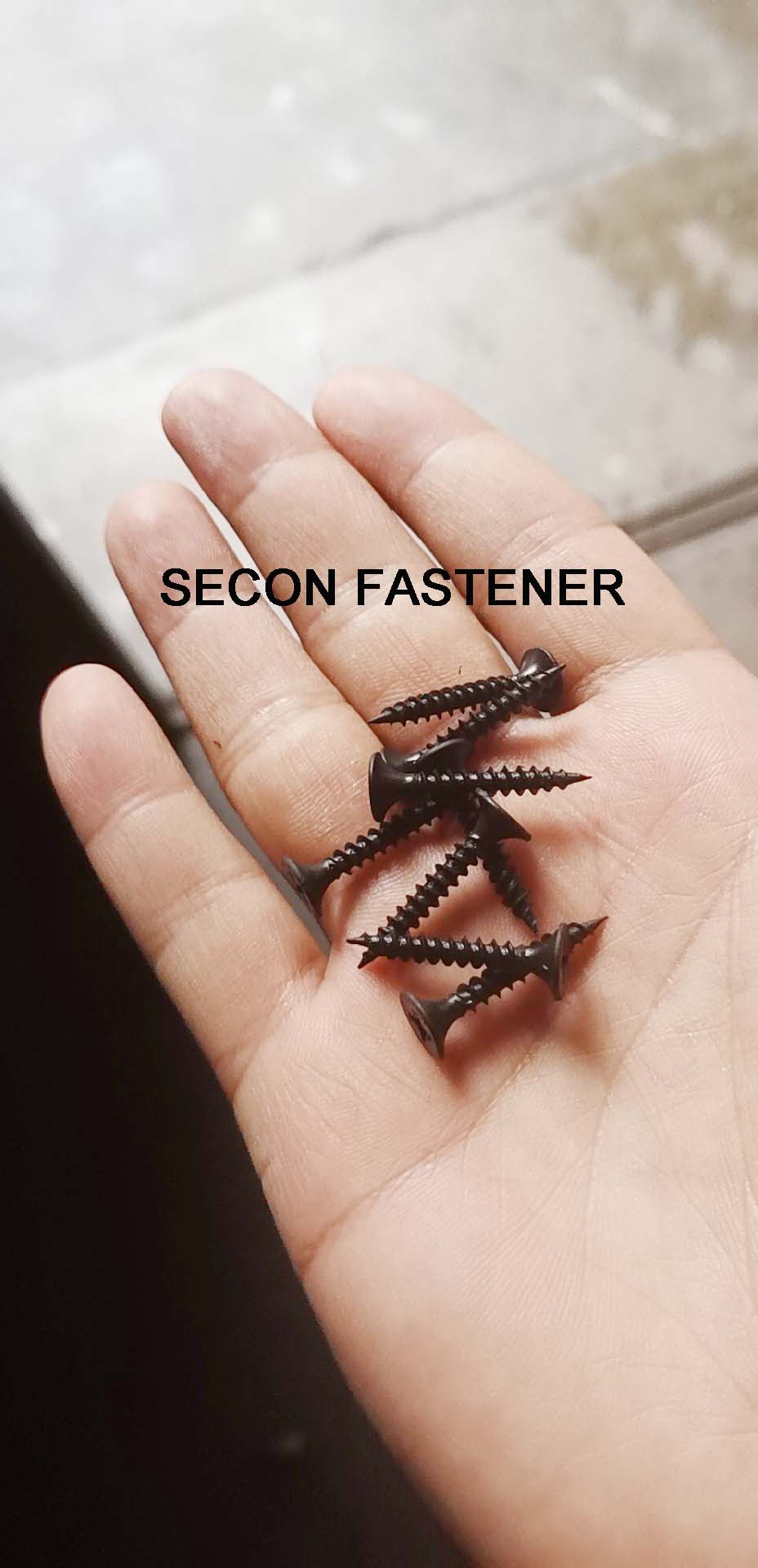 6368756945998123791832591.jpg 6368756945998123791832591.jpg
