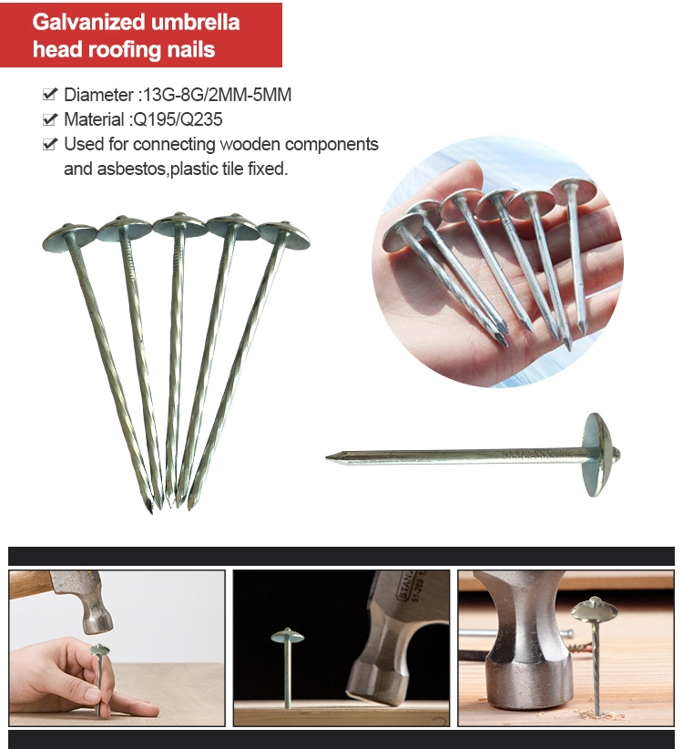 Zinc coated umbrella head roofing nails