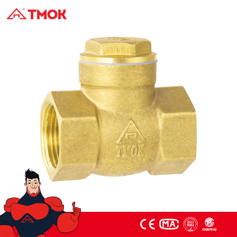 401卧式止回阀.jpg