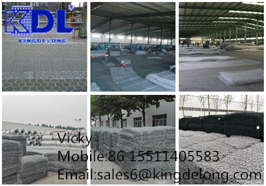 gabion picture---Vicky.jpg gabion picture---Vicky.jpg