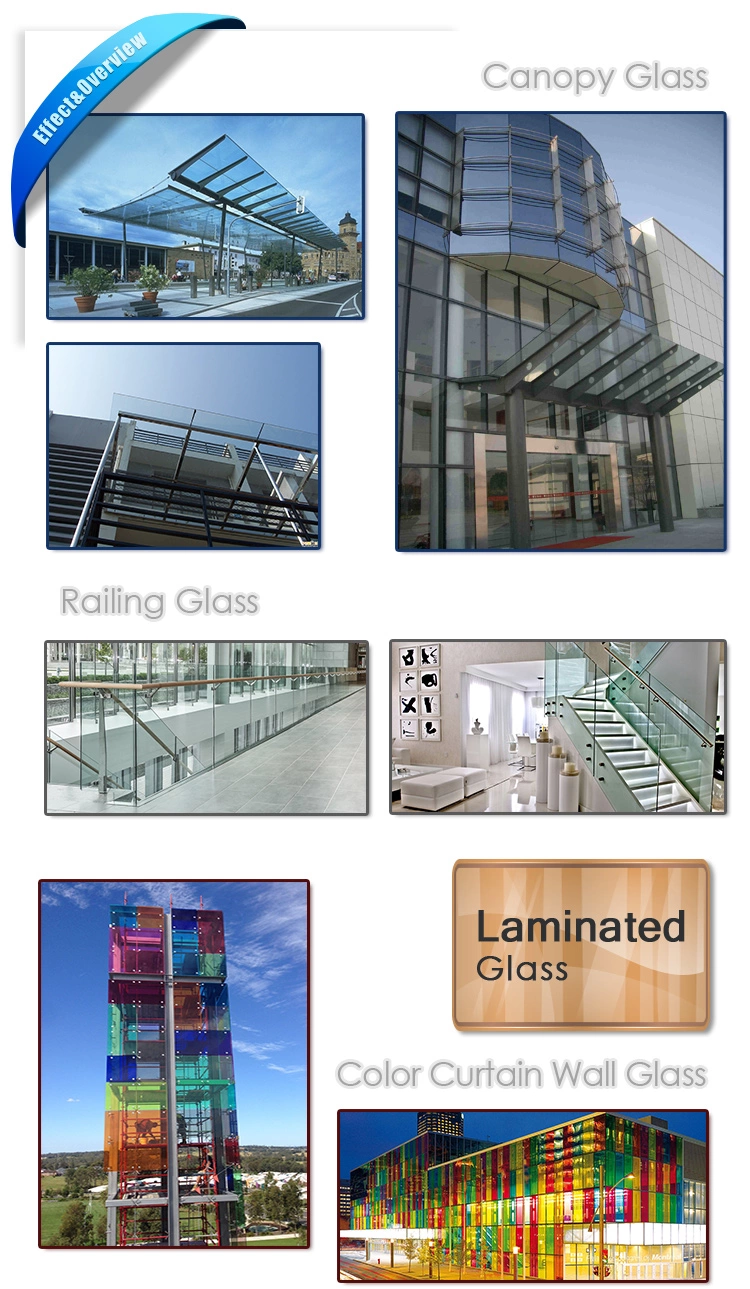 8mm Per Square Meter Tempered Glass Price M2